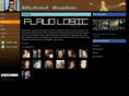 flaudlogic.com