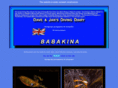 babakina.com