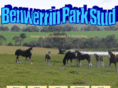 benwerrinparkstud.com