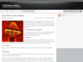 calloway-lamp.org