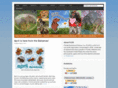 floridadachshundrescue.com