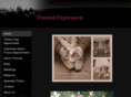 framedexpression.com
