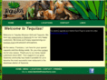 tequilasgastonia.com