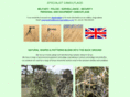 camouflage-solutions.com