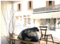 carolinegraystudio.com