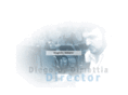 directordimattia.com