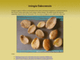 irvingiagabonensis.biz