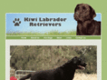 kiwifarmslabradors.com