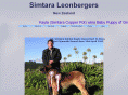 simtaraleos.co.nz
