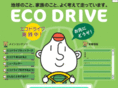 ecodriver.info