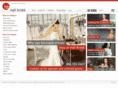 halfbridal.com