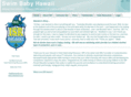 isrhawaii.com