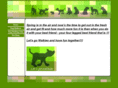 letsgowalkies.com