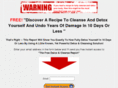 recipeformastercleanse.com