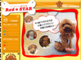 baby-poodle.com