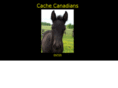 cachecanadians.com