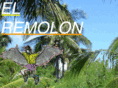 elremolon.com