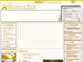 vichynouvellevague.com