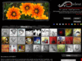 artenbrut.com