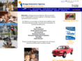 bragginsuranceagency.com