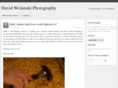 davewolanski.com