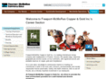 fmihr.com
