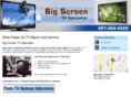bigscreentvspecialist.com