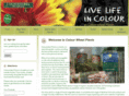 colourwheelgardencentre.com