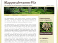 klapperschwamm-pilz.com