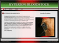 hyperionbloodstock.co.uk