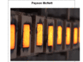 paysonmcnett.com