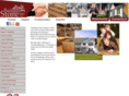 allaroundlistings.com