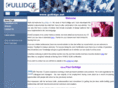 gullidge.com