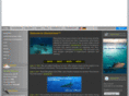 sharkschool.com