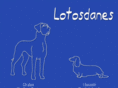 lotosdanes.com