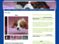 smallcritterhouse.com