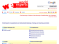 world-experts.com