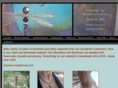 dazzleflyz.com