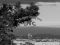 denvertradinggroup.org
