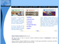 satyamweldmeshindustries.com