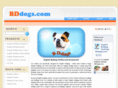 bddogs.com
