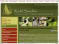sydneyacupunctureclinic.com