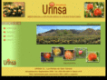 urinsa.com