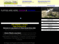xtremepitbullslongisland.com