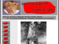 autoinvestigacionvivencial.com