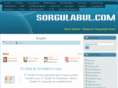 sorgulabul.com