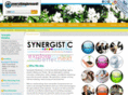 synergisticmarketingexperts.com