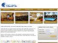 tampaluxuryhotels.net