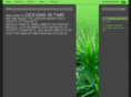 designsintime.com