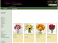 simplybeautifulcolorado.com